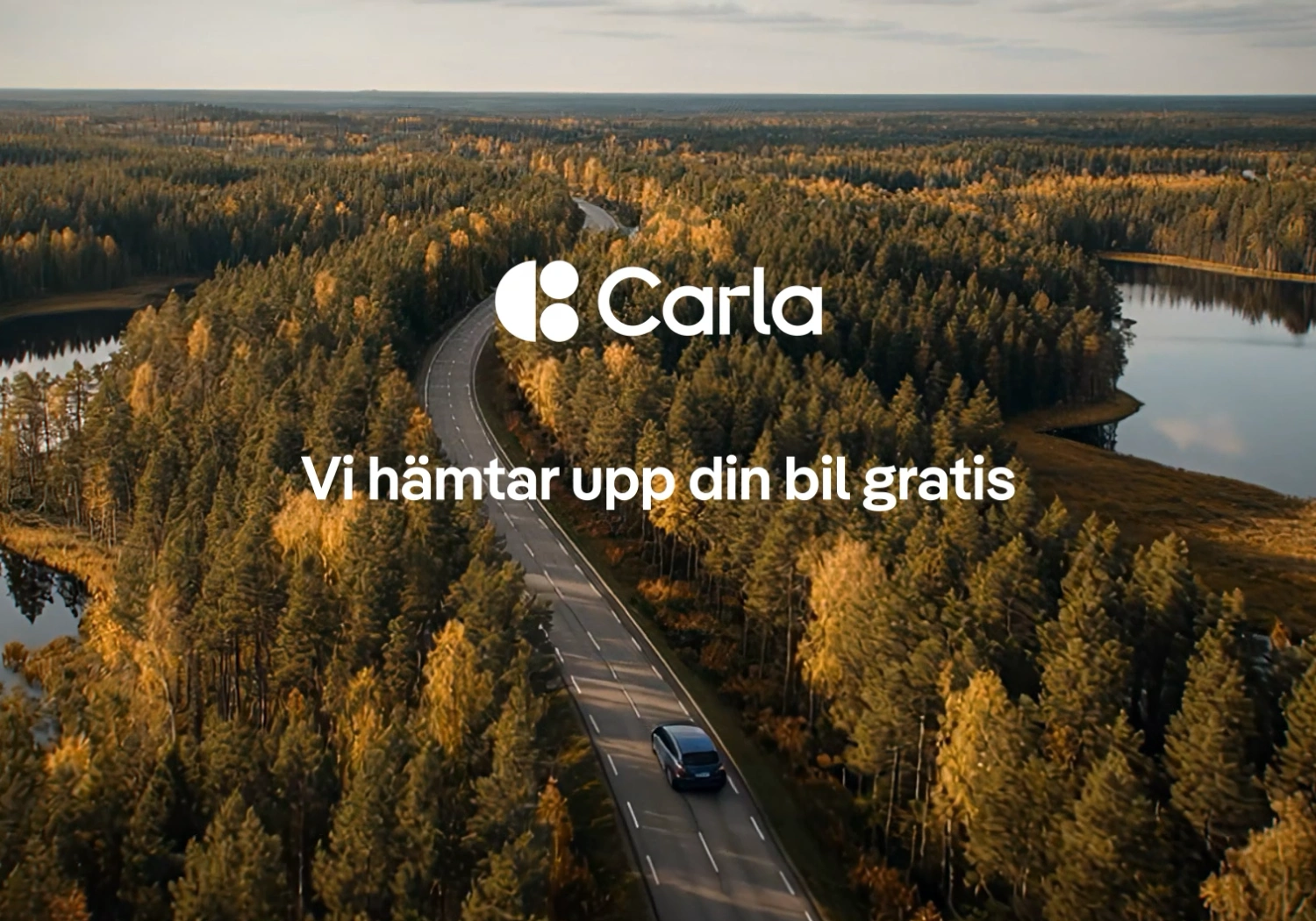 Carla – Motion Design